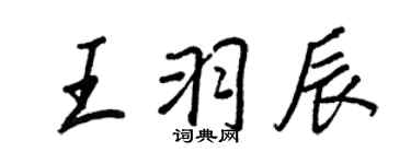 王正良王羽辰行书个性签名怎么写