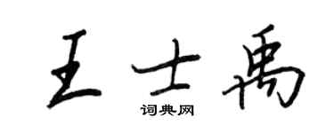 王正良王士禹行书个性签名怎么写