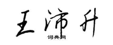 王正良王沛升行书个性签名怎么写