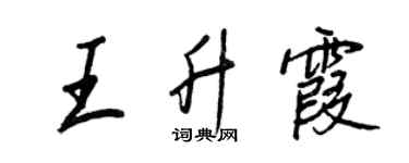 王正良王升霞行书个性签名怎么写