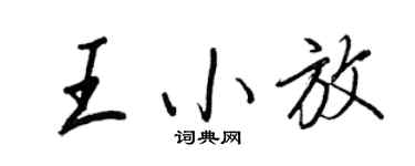 王正良王小放行书个性签名怎么写