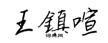 王正良王镇喧行书个性签名怎么写