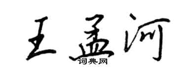 王正良王孟河行书个性签名怎么写