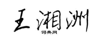 王正良王湘洲行书个性签名怎么写