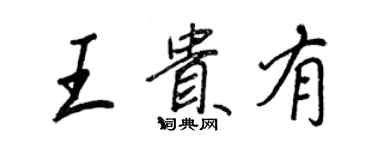 王正良王贵有行书个性签名怎么写