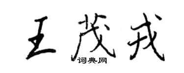 王正良王茂戎行书个性签名怎么写