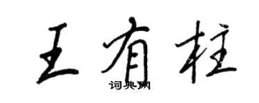 王正良王有柱行书个性签名怎么写