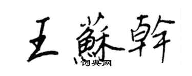 王正良王苏干行书个性签名怎么写