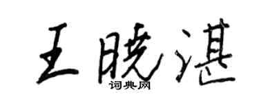 王正良王晓湛行书个性签名怎么写