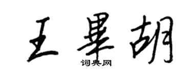 王正良王毕胡行书个性签名怎么写