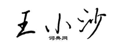 王正良王小沙行书个性签名怎么写