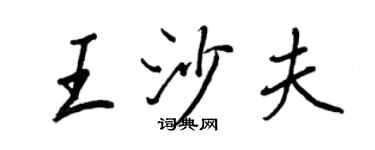 王正良王沙夫行书个性签名怎么写