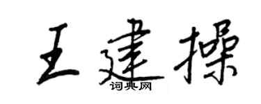 王正良王建操行书个性签名怎么写