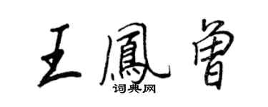 王正良王凤曾行书个性签名怎么写