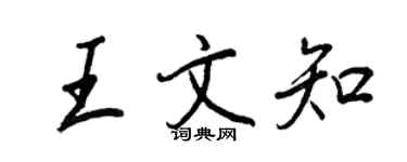 王正良王文知行书个性签名怎么写