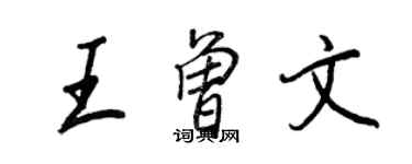 王正良王曾文行书个性签名怎么写