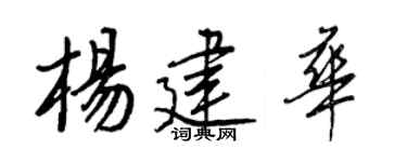 王正良杨建华行书个性签名怎么写