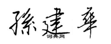 王正良孙建华行书个性签名怎么写