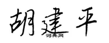 王正良胡建平行书个性签名怎么写