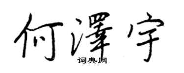 王正良何泽宇行书个性签名怎么写