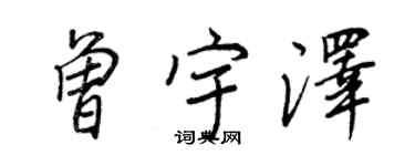 王正良曾宇泽行书个性签名怎么写