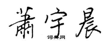 王正良萧宇晨行书个性签名怎么写