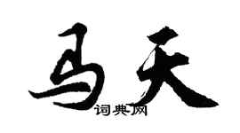 胡问遂马天行书个性签名怎么写