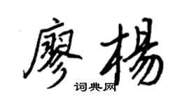 王正良廖杨行书个性签名怎么写