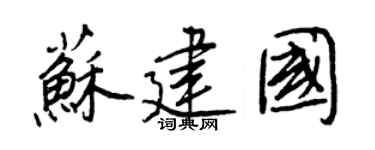 王正良苏建国行书个性签名怎么写