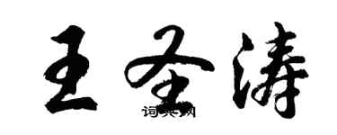 胡问遂王圣涛行书个性签名怎么写