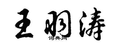 胡问遂王羽涛行书个性签名怎么写