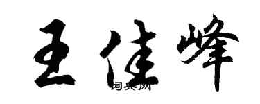 胡问遂王佳峰行书个性签名怎么写