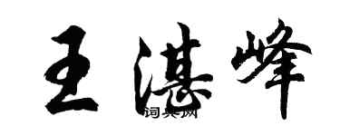 胡问遂王湛峰行书个性签名怎么写