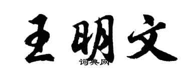 胡问遂王明文行书个性签名怎么写