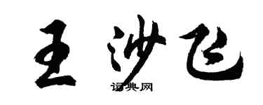 胡问遂王沙飞行书个性签名怎么写