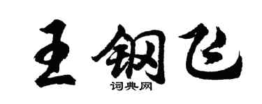 胡问遂王钢飞行书个性签名怎么写