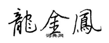 王正良龙金凤行书个性签名怎么写