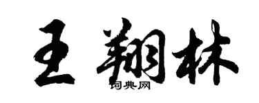 胡问遂王翔林行书个性签名怎么写