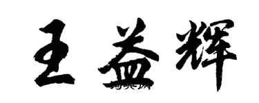胡问遂王益辉行书个性签名怎么写