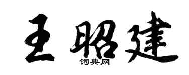 胡问遂王昭建行书个性签名怎么写