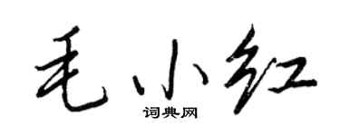 王正良毛小红行书个性签名怎么写