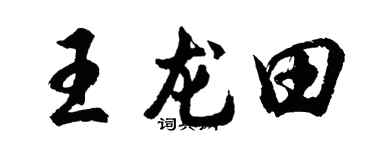 胡问遂王龙田行书个性签名怎么写