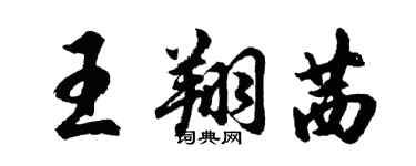 胡问遂王翔茜行书个性签名怎么写