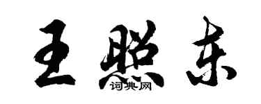 胡问遂王照东行书个性签名怎么写
