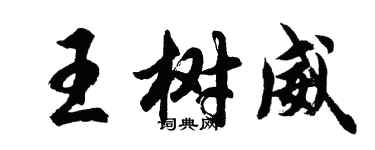 胡问遂王树威行书个性签名怎么写