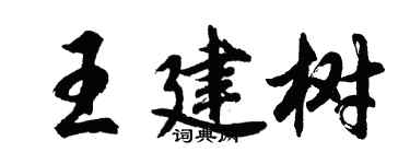 胡问遂王建树行书个性签名怎么写