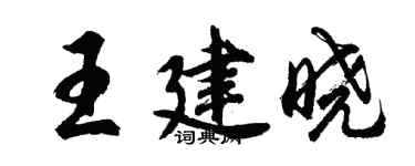 胡问遂王建晓行书个性签名怎么写