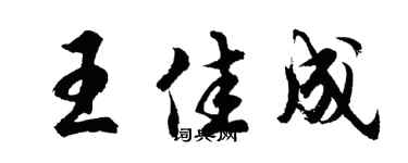 胡问遂王佳成行书个性签名怎么写