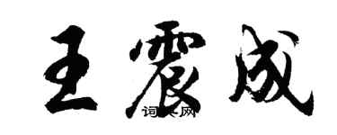 胡问遂王震成行书个性签名怎么写