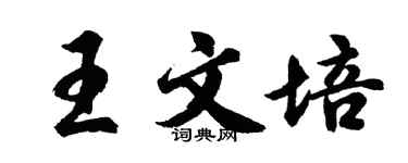 胡问遂王文培行书个性签名怎么写